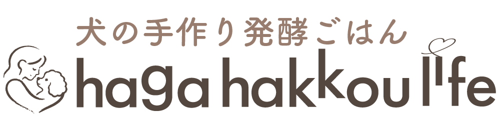 犬の手作り発酵ごはん｜hagahakkoulife